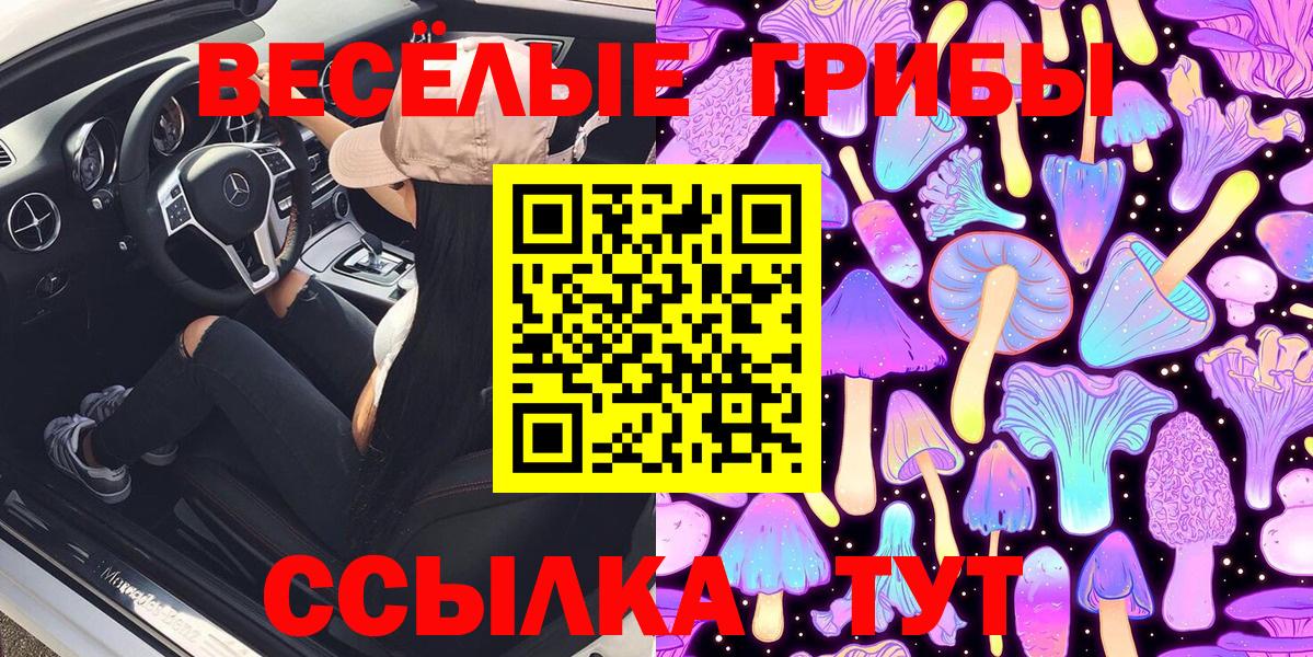 где найти   Галлюциногенные грибы Cubensis  Шарыпово  Вход с VPN  Галлюциногенные грибы GOLDEN TEACHER 